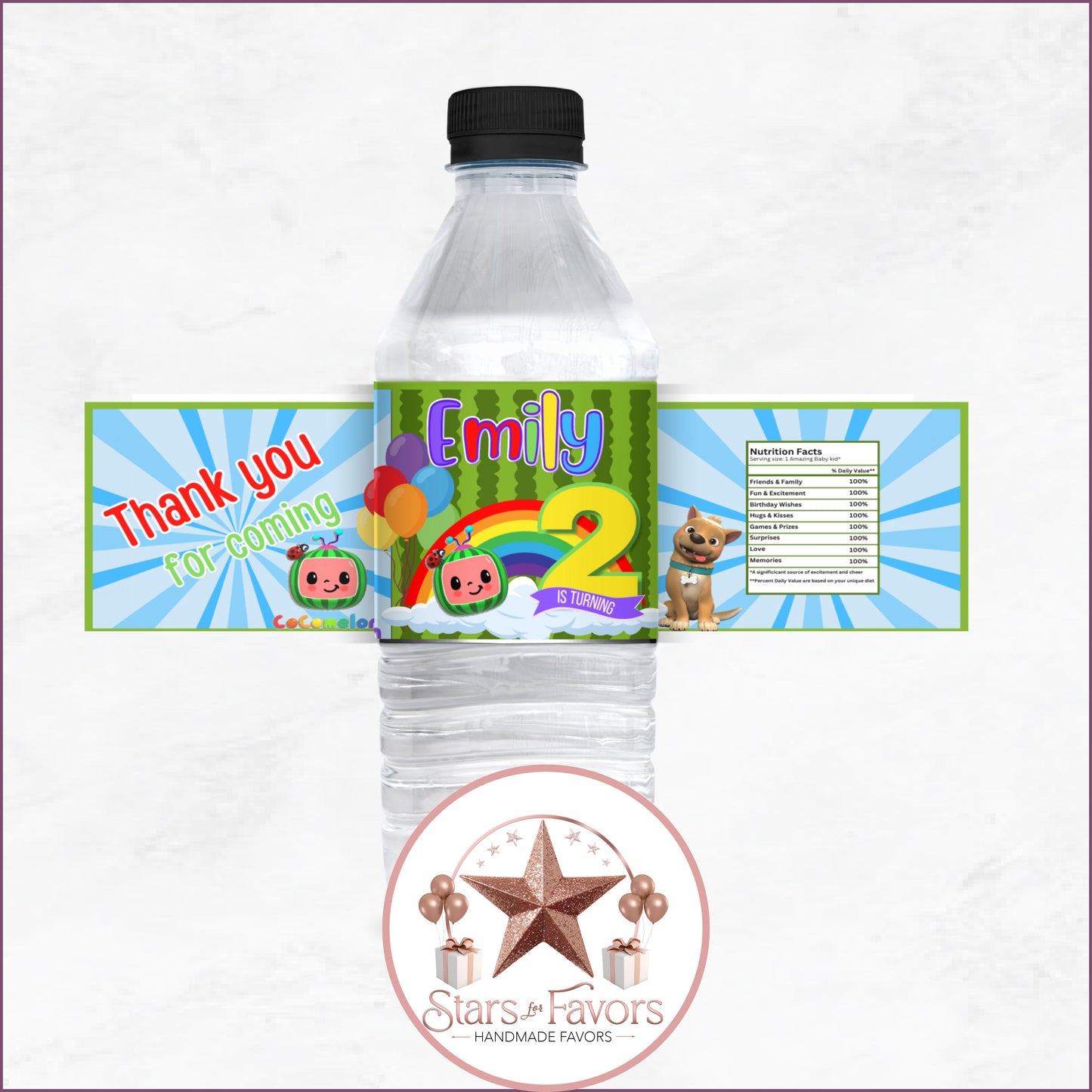 Cocomelon Birthday Party Favor Collection